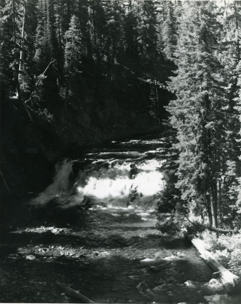 Revisiting Washington — Goose Prairie