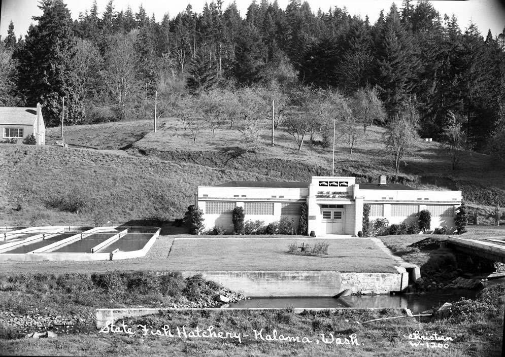 Revisiting Washington — Kalama Falls