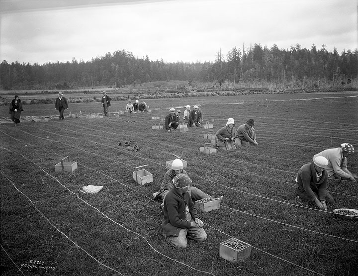 Revisiting Washington — Grayland