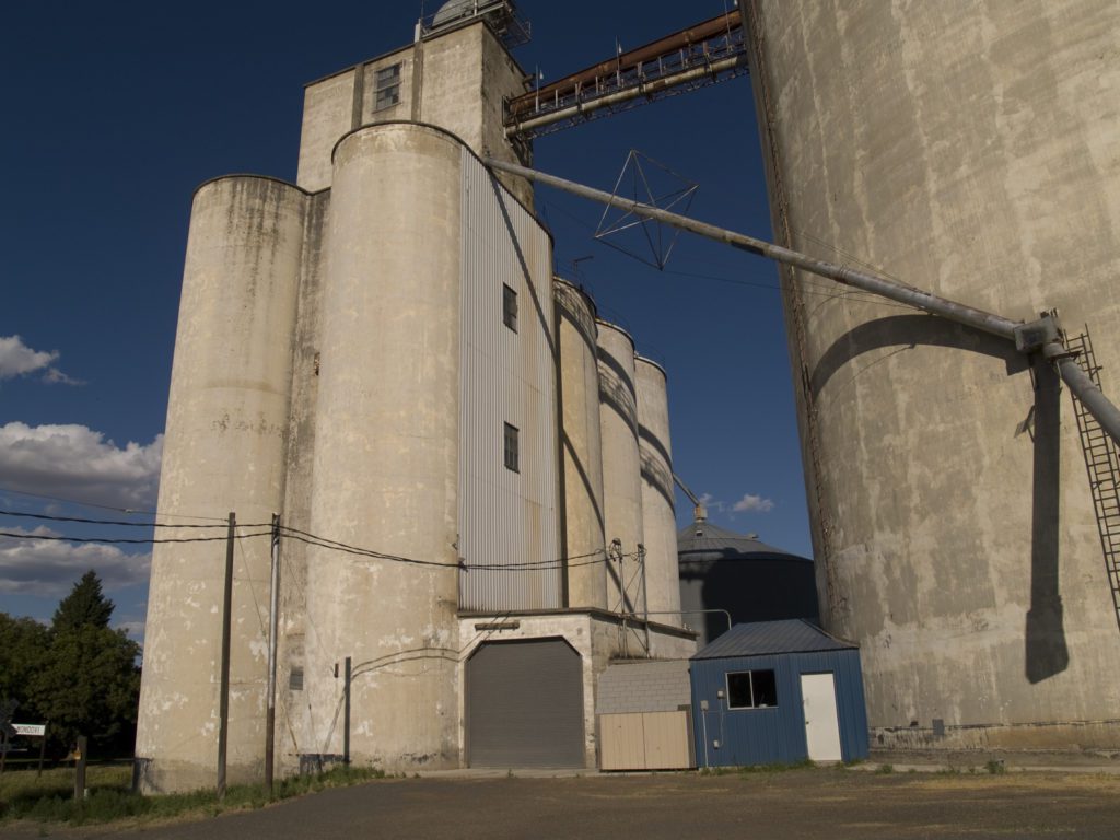 Revisiting Washington — Mondovi