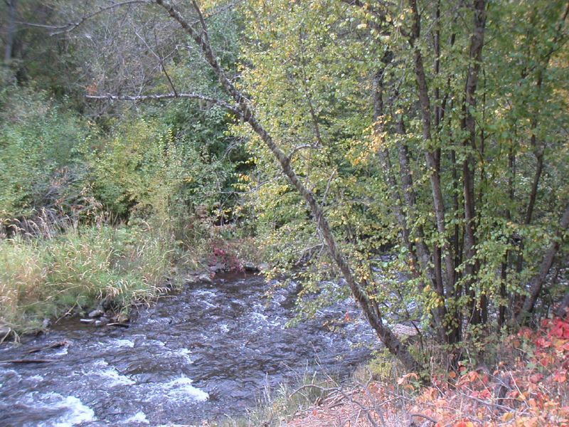 Revisiting Washington — Cloverland