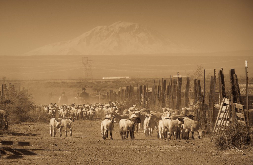 Revisiting Washington — Mabton